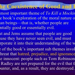 To kill a mockingbird literary terms