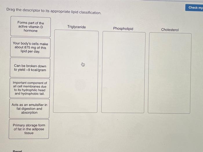 Drag the descriptor to its appropriate lipid classification.