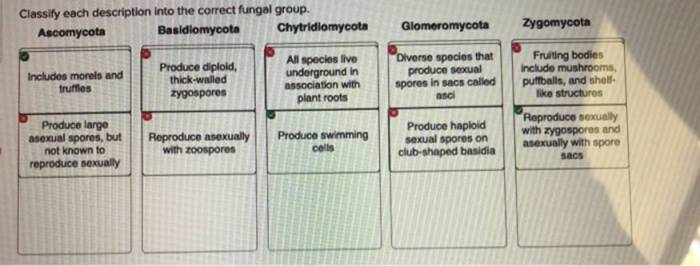 Classify parameter each description statistic has population variable sample data transcribed text show classification