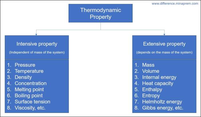 Intensive and extensive properties worksheet