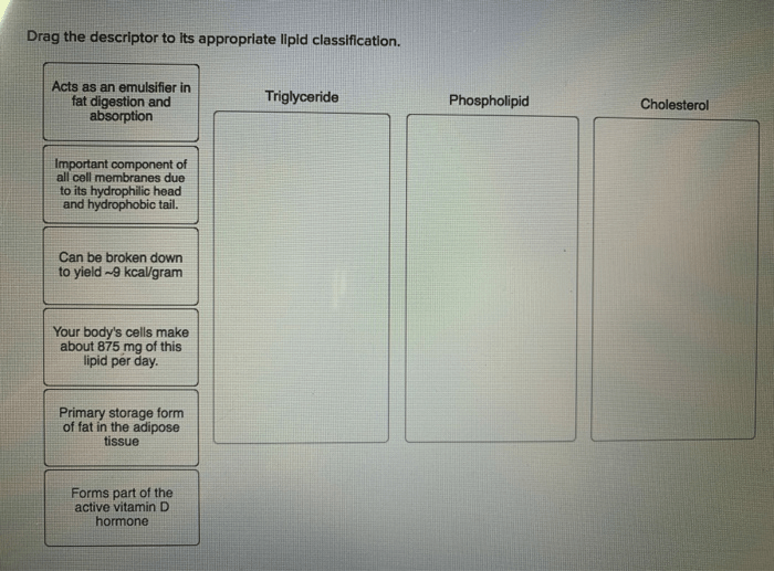 Drag the descriptor to its appropriate lipid classification.