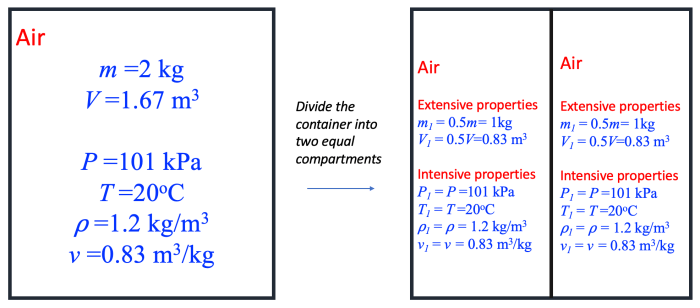 Intensive and extensive properties worksheet